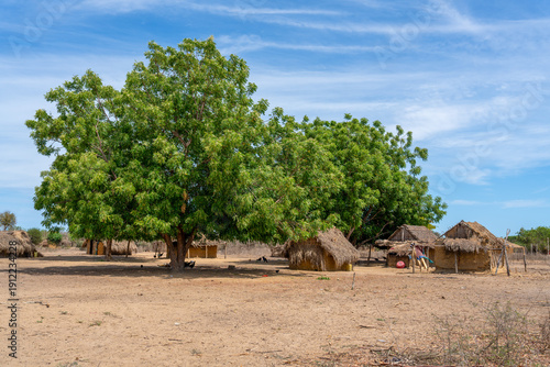 Madagascar, traditional village with straw houses under huge mango trees.