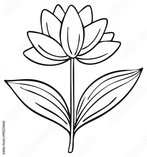 Outline of a lotus flower with leaves, monochrome illustration, floral design.