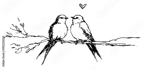 Hand drawn lovebirds on tree branch sketch romantic couple birds illustration vector