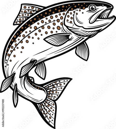 Detailed trout fish vector illustration, dynamic leaping pose, speckled body pattern, decorative fins artwork, realistic aquatic animal design drawing