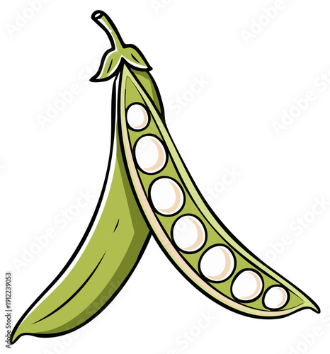 Open green pea pod with round white peas inside a healthy food concept illustration