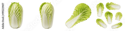 Fresh Napa Cabbage Collection, Organic Whole and Sliced Chinese Cabbage, Healthy Green Leafy Vegetable Set, High Quality Ingredient Isolated on White Background PNG
