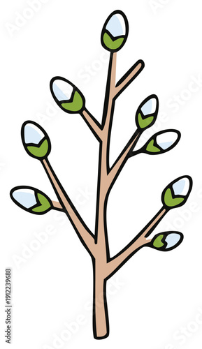 Spring pussy willow branch with soft budding catkins cartoon illustration