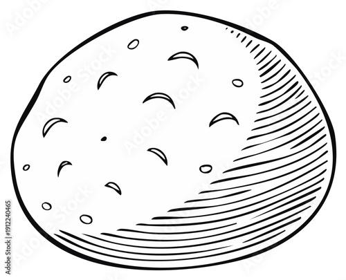 Ink drawing of a single potato, detailed illustration isolated on white.