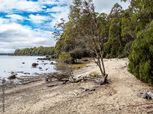 Lake st Clair in Tasmania island