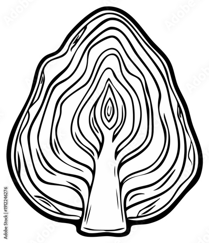 Stylized Cabbage Slice Illustration with Organic Lines and Texture