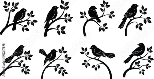 Modern home office workspace featuring high-end laptop computer, green potted plant, and coffee on clean white desk for business productivity and remote work lifestyle.