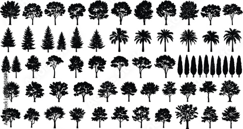 Collection of black tree silhouettes including pine, palm, and deciduous trees isolated on white background, vector illustration set for landscape design and nature graphics