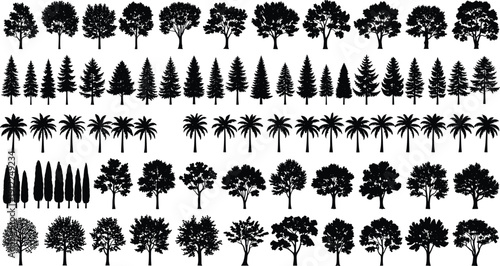 Large collection of black tree silhouettes featuring pine, palm, cypress and deciduous varieties isolated on white background for landscape design, architecture presentation, and nature graphics