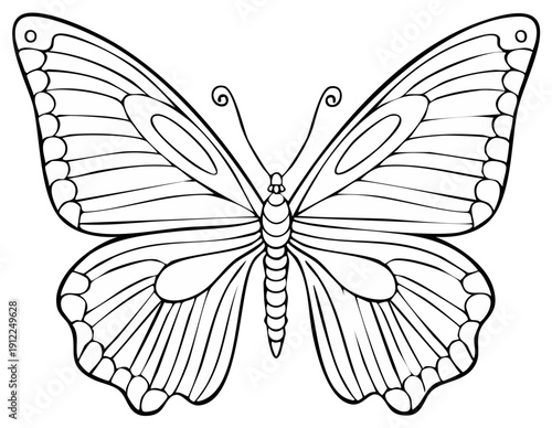 Beautiful butterfly with symmetrical wings black and white line art for coloring page