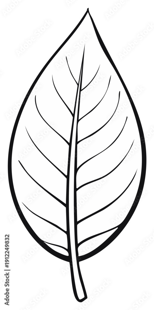 Fototapeta premium Minimalist line art illustration of a single leaf with distinct midrib and veins