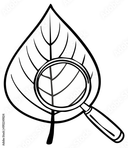 Magnifying glass examining a leaf outline, concept of nature study and research