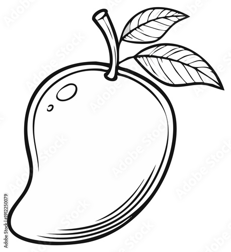 Mango Outline Illustration Tropical Fruit Drawing with Leaves Simple Black and White Art