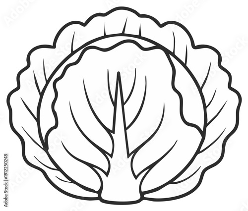 Simple black and white outline illustration of a whole fresh cabbage vegetable