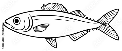 Outlined illustration of a streamlined fish with fins and a detailed tail.