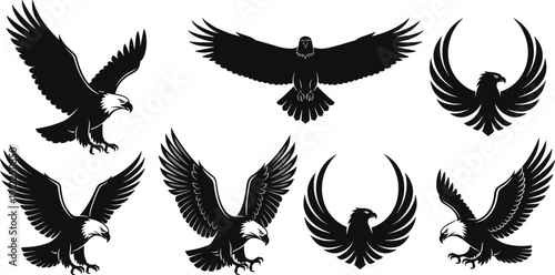Eagle silhouettes vector illustration, bald eagle and black bird poses, decorative wings spread artwork, powerful animal design elements collection