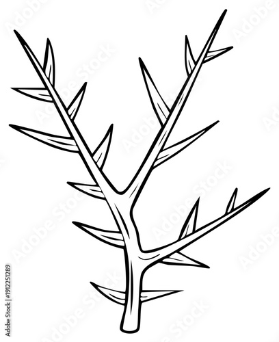 Hand drawn thorny branch illustration with sharp spikes. Black and white vector style line art of a bare plant stem.