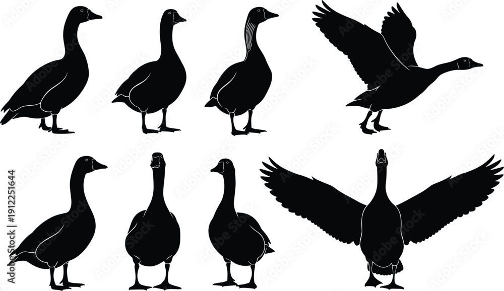 Obraz premium Black silhouette vector illustration of seven geese in standing and flying positions, wings spread, natural bird posture, wildlife design