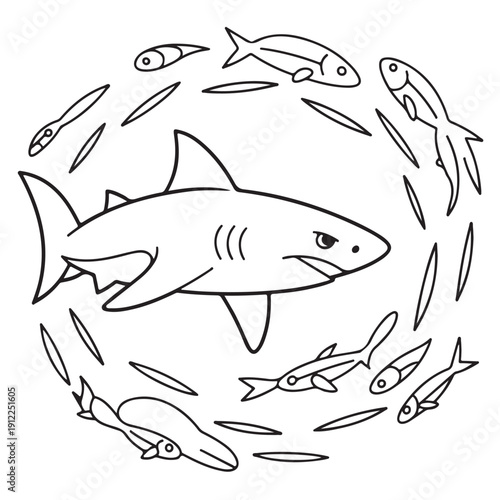 Vector illustration of aggressive shark swimming in circle surrounded by small fish, predator marine animal with sharp teeth, dangerous ocean dweller, black outline art on transparent background