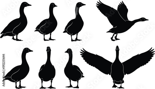 Black silhouette vector illustration of seven geese in standing and flying positions, wings spread, natural bird posture, wildlife design