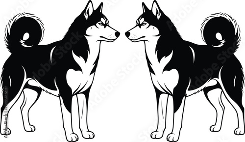 Set of black and white Siberian Husky dog silhouettes, standing sled dog profile for pet logo design, cad drawing flat vector illustration, animal mascot