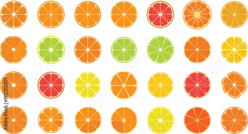 Vibrant citrus fruit slices in various colors and patterns