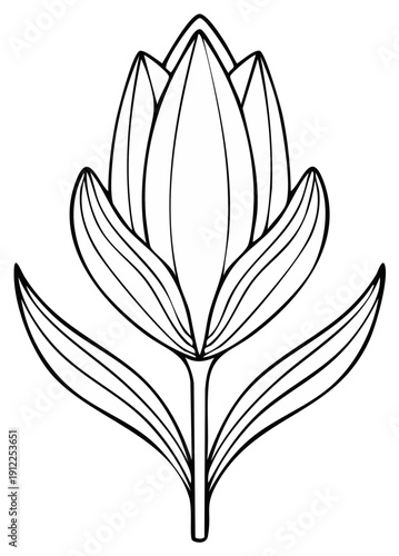 Stylized outline of a tulip flower with leaves, art nouveau inspired floral design.