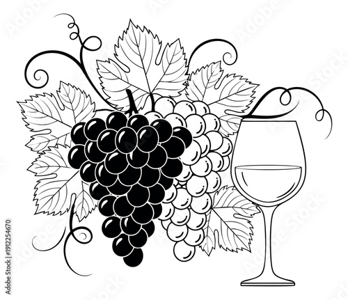 Hand drawn line art set featuring bunches of grapes, vine leaves, and a wine glass for wine production and beverage menus