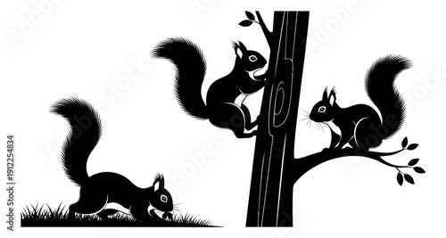 Clip art squirrels set featuring animals climbing a tree and foraging for nature projects