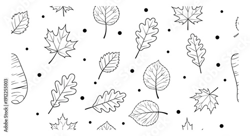 Hand drawn line art autumn leaves set featuring various tree foliage and dots for seasonal decoration
