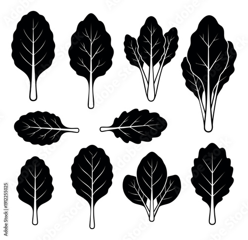 Line art silhouette vegetable leaves set featuring fresh spinach and chard for healthy cooking