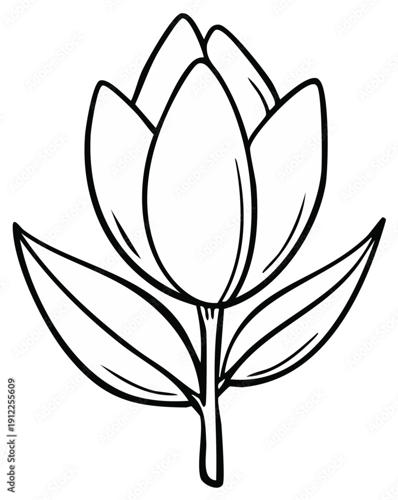 Obraz premium Black and white flower illustration, floral outline, botanical art
