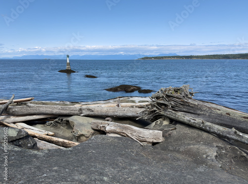 Canvastavla Driftwood on a rocky coast and a light buoy