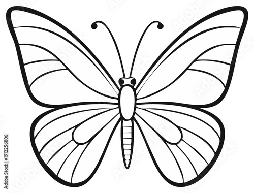Black and white outline drawing of a large butterfly with symmetrical wings and antennae