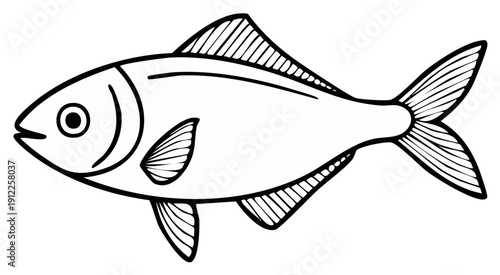 Simple Line Art Fish Illustration Graphic Element Ocean Creature Aquatic Life Underwater World Decoration