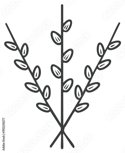 Minimalist Outline Drawing of Three Pussy Willow Branches