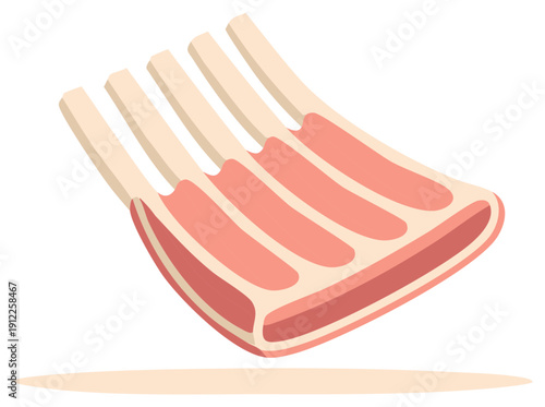 Fresh Raw Rack of Ribs Meat Cut Vector Illustration for Butchery