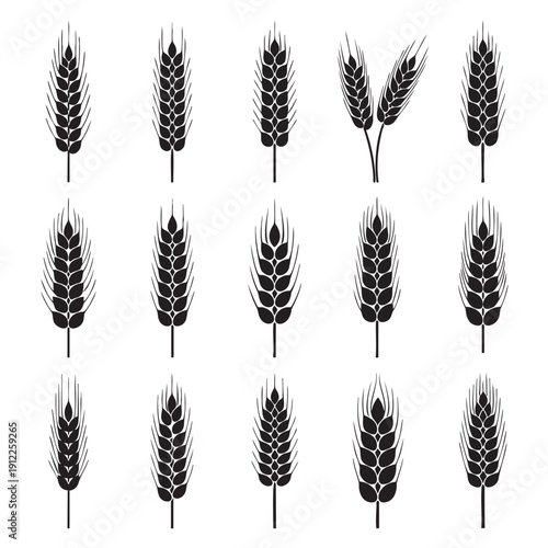 Collection of wheat ear icons in various styles isolated design