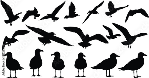 Black tree silhouettes set, forest park botanical elements, deciduous and evergreen shapes, nature landscape graphics, cad drawing flat vector illustration collection