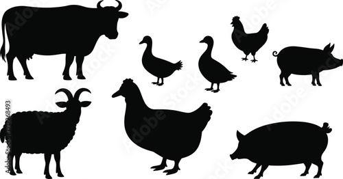 Farm animal silhouettes set with cow, pig, sheep, chicken and ducks, livestock agriculture collection illustration isolated on white background for rural farming design.