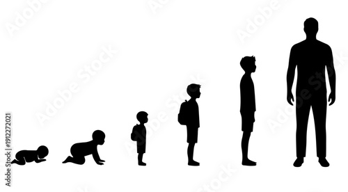 Vector illustration showing the complete progression of human life stages, from a crawling infant to a standing adult, symbolizing growth, development, and the natural aging process