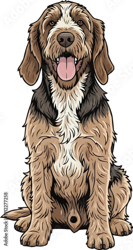 Spinone Italiano Dog sitting happy panting smiling facing front
