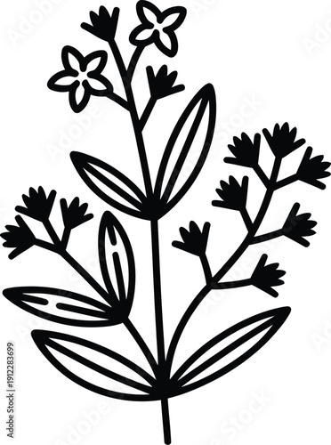 Simple black line drawing depicts small flowering herb sprig with delicate blossoms.