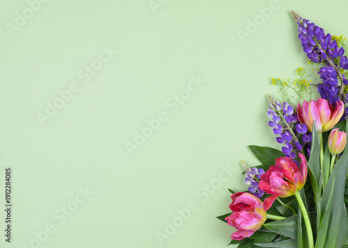 Coral tulip flowers and pur...