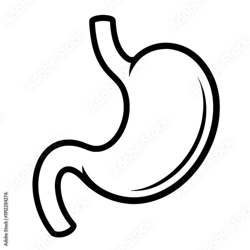 Anatomical Human Stomach Vector Illustration - Detailed Gastroenterology and Digestive System Diagram for Medical Use. Modern Black and White Line Art Symbol of Digestion and Gut Health.