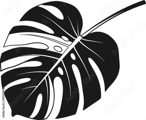 Monstera deliciosa leaf illustration in black and white