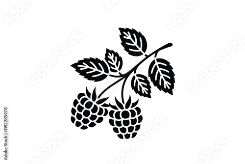 Black and white silhouette graphic of a raspberry branch with two berries and leaves.