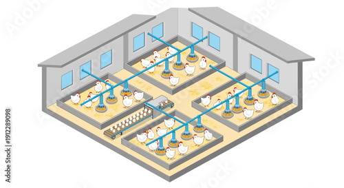 Automated chicken farm interior with hens, feeders, and a conveyor belt for egg collection.