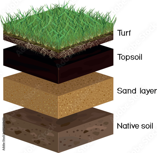 Lawn soil profile. Scheme of a lawn installation, revealing layers soil