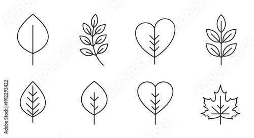 Minimalist Collection of Outline Leaf Icons Including Heart and Maple Leaf Shapes on an Isolated White Background